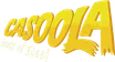 casoolask.com